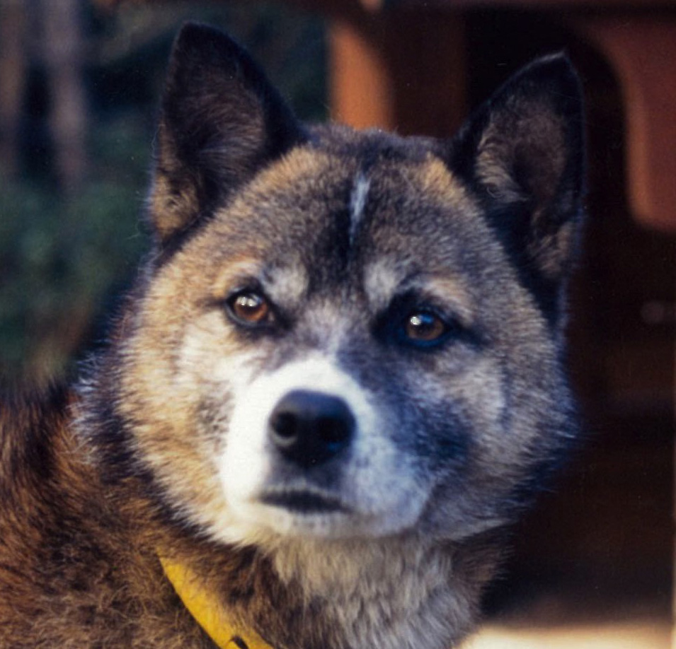 TAJIMA Ryosuke